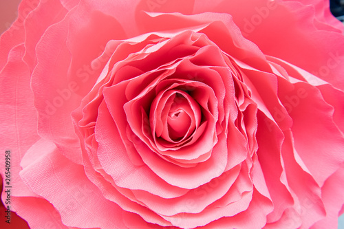 Beautiful Paper made of carnations, flower isolated 