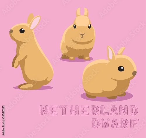 Rabbit Netherland Dwarf Cartoon Vector Illustration