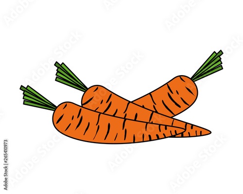 fresh carrots vegetables icon