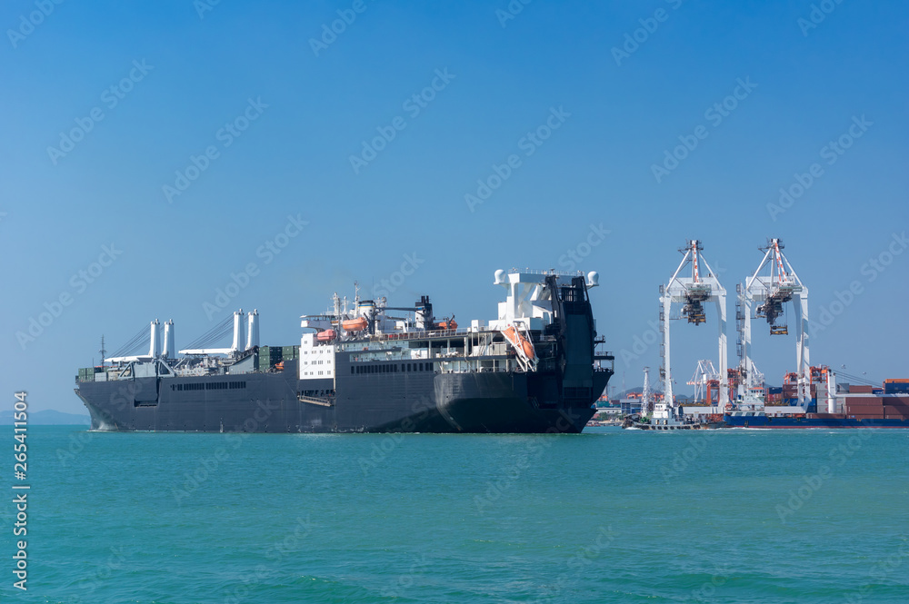 Container Cargo ship