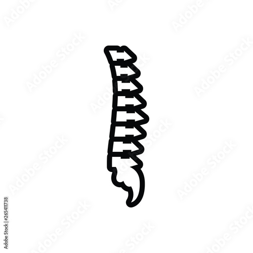 Black line icon for vertebra 