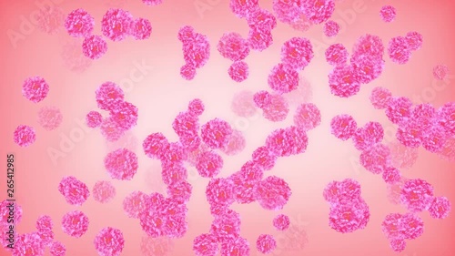 seamless pattern with pink flowers
