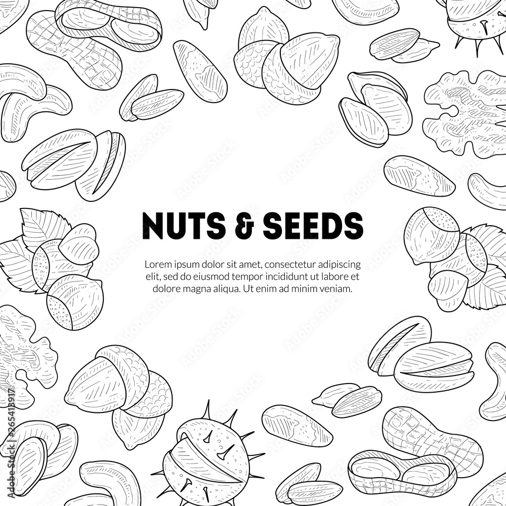Natural Nuts and Seeds Banner Template with Place for Your Text, Tasty and Healthy Organic Food Hand Drawn Vector Illustration