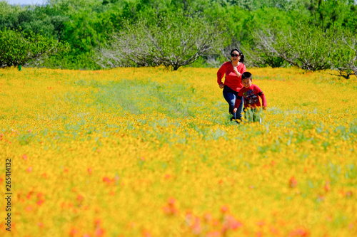 Spring flowers carpet in Texas Austin colorful blooming blossom roadside Mom son running