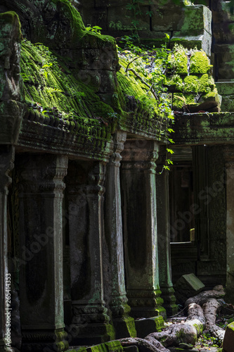 Fototapeta Naklejka Na Ścianę i Meble -  View of the Ta Prohm temple ruins in Siem Reap, Cambodia
