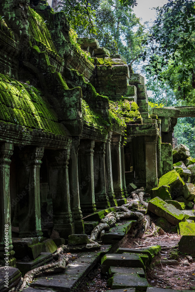 View of the moss covered Ta Prohm temple ruins in Siem Reap, Cambodia View of the moss covered Ta Prohm temple ruins in Siem Reap, Cambodia