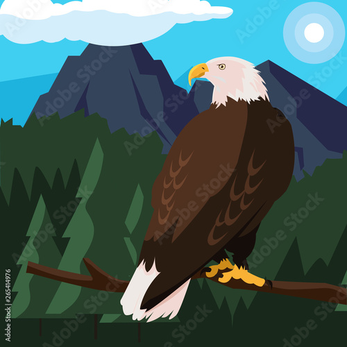 beautiful bald eagle in tree branch landscape scene