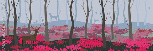 Photography Background for banners, web pages and other fairy forest with wild animals vecto