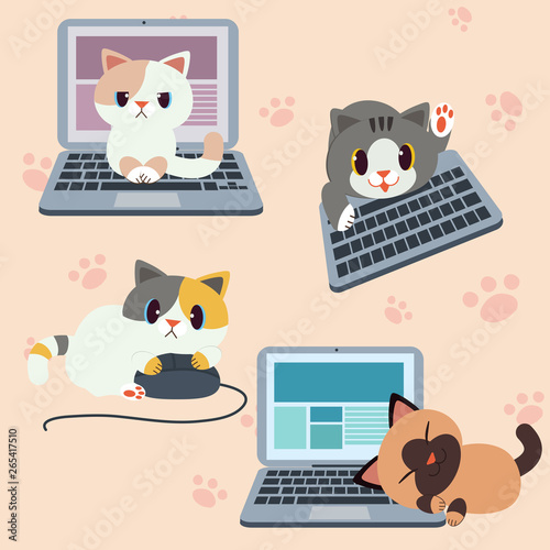 cute character cat with computer or laptop , cat play with computer or pc , cat play in the office , cat worker