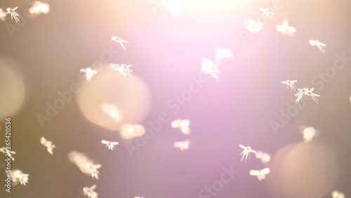 Photos Mücken fliegend im Sonnenlicht