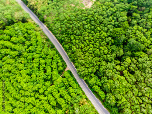 Aerial view landscape of rural road with green tree forest