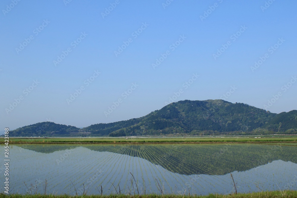 水田に映り込む山の風景