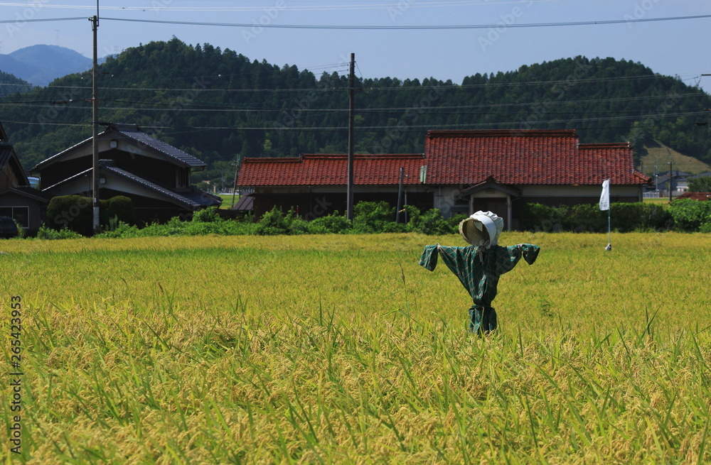 秋の田園風景と案山子 秋の田園風景と案山子