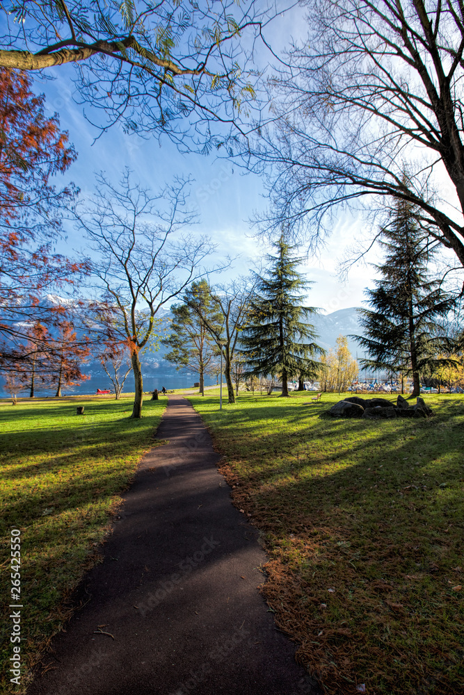 path in the park