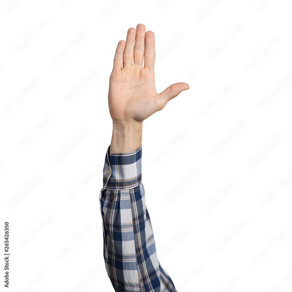 Man hand in blue checkered shirt showing palm Man hand in blue checkered shirt showing palm