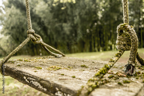swing in garden