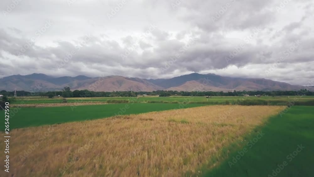 Cinematic Aerial Drone Video of rice fields and other agricultural in front of mountains in Zambales, Philippines Cinematic Aerial Drone Video of rice fields and other agricultural in front of mountains in Zambales, Philippines