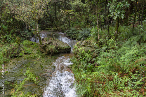 a small waterfall and a narrow river in the middle of the jungle