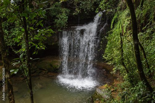 waterfall and a pond in the jungle  lonely place