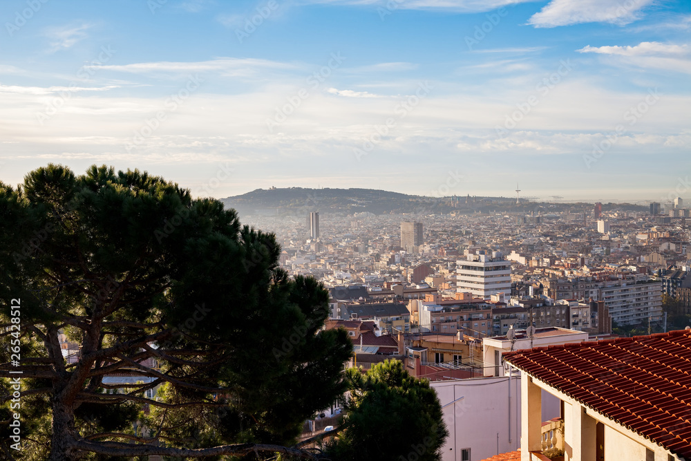 Obraz premium Morning panorama of Barcelona