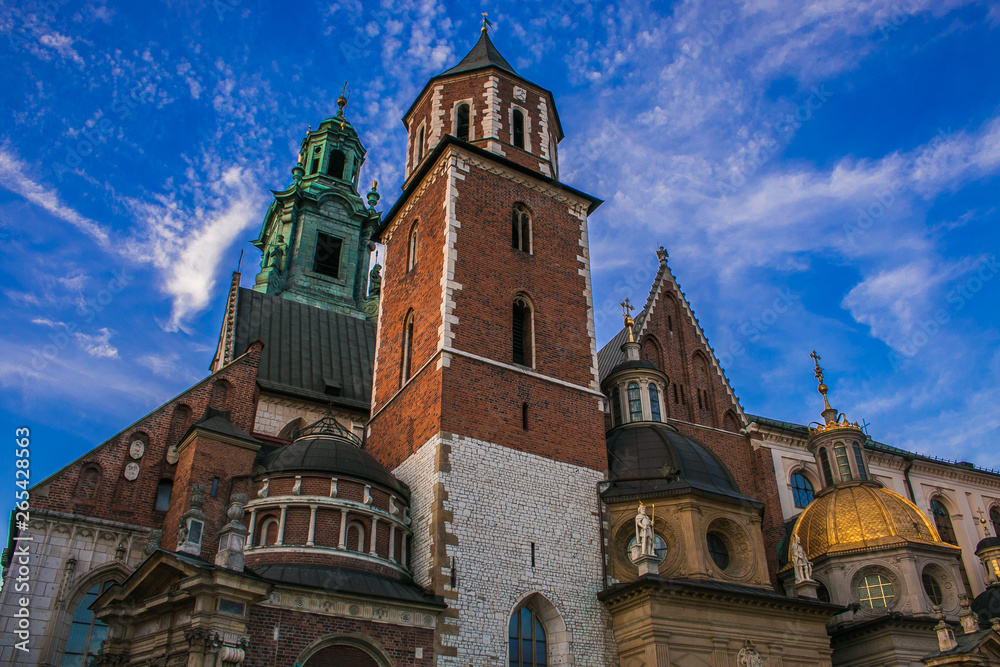 Cattedrale all'interno del castello di Wawel a Cracovia