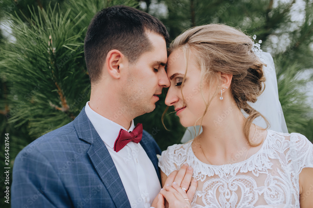 Beautiful newlyweds hugging in the park in nature close-up. Wedding portrait of a stylish groom in a blue suit with a bow tie and a cute curly blonde in a white dress on the nature. Beautiful newlyweds hugging in the park in nature close-up. Wedding portrait of a stylish groom in a blue suit with a bow tie and a cute curly blonde in a white dress on the nature.