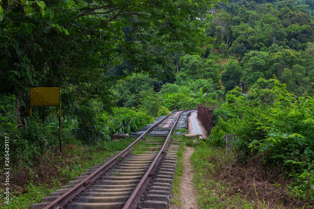 old railroad in the jungle, assam india