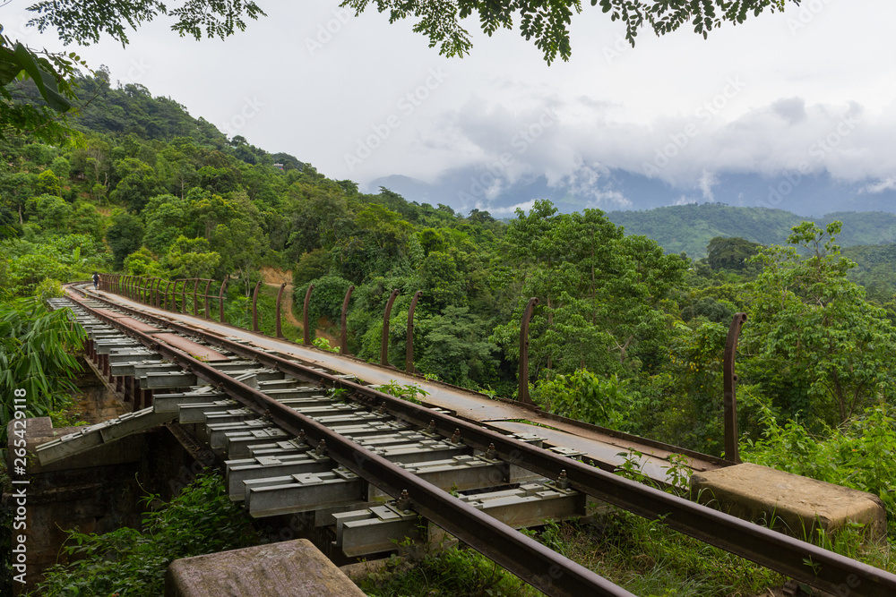 Fototapeta premium old railroad in the jungle, assam india