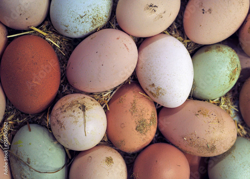basket with natural colored eggs