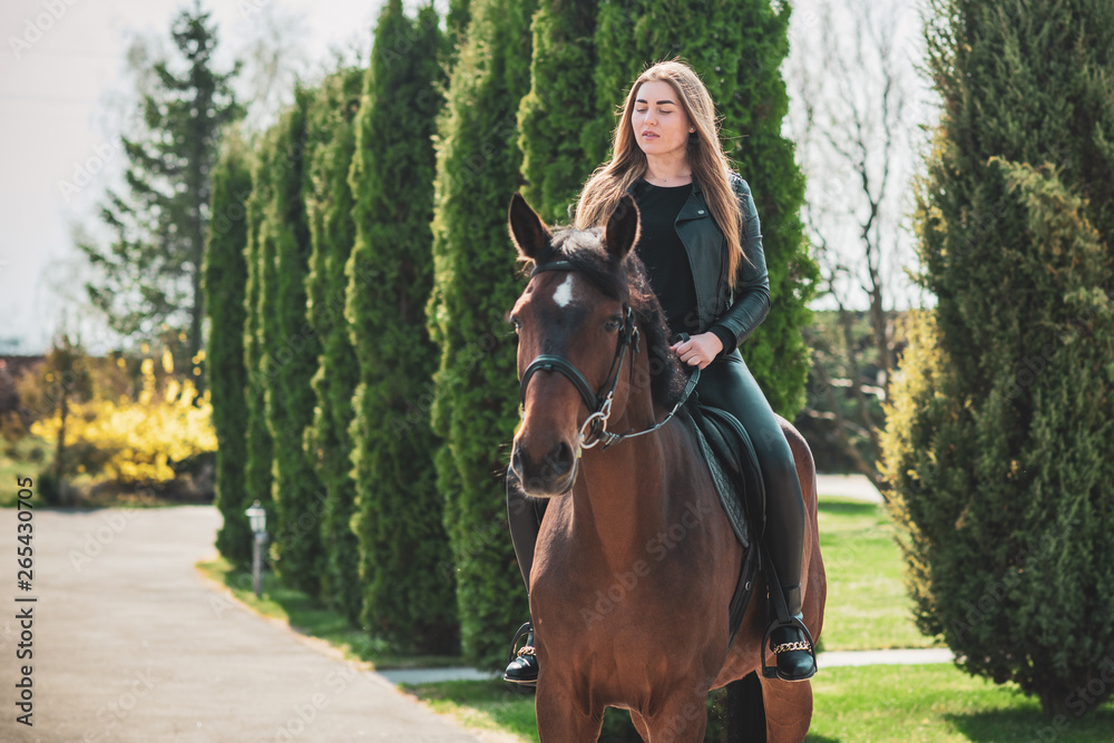 Woman and horse, lady have a hobby time, riding. Horses concept Woman and horse, lady have a hobby time, riding. Horses concept