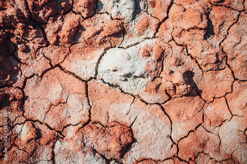 Dry cracked clay soil surface
