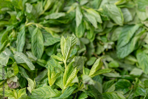 Fresh mint leaves at market
