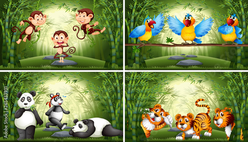 Set of animal in bamboo forest