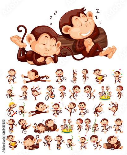 Set of monkey character photo