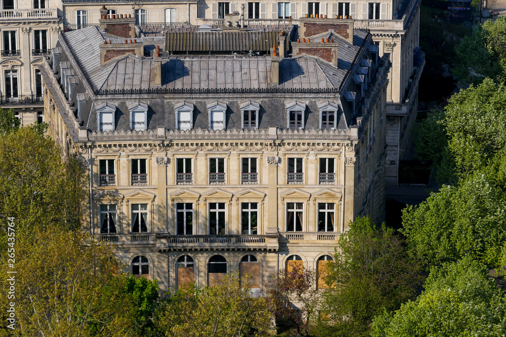 Paris, France, beautiful building at spring