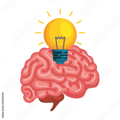 brain human with bulb