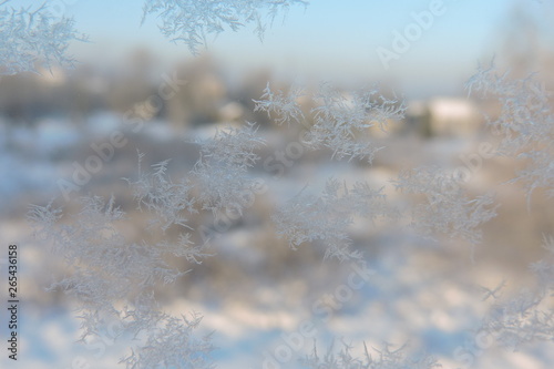 A close-up of beautiful ice flowers on a window