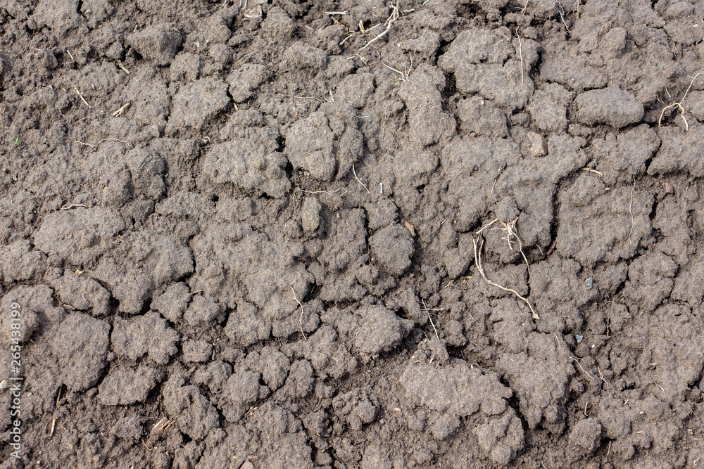 Texture of dry soil with cracks, background for design_ Texture of dry soil with cracks, background for design_