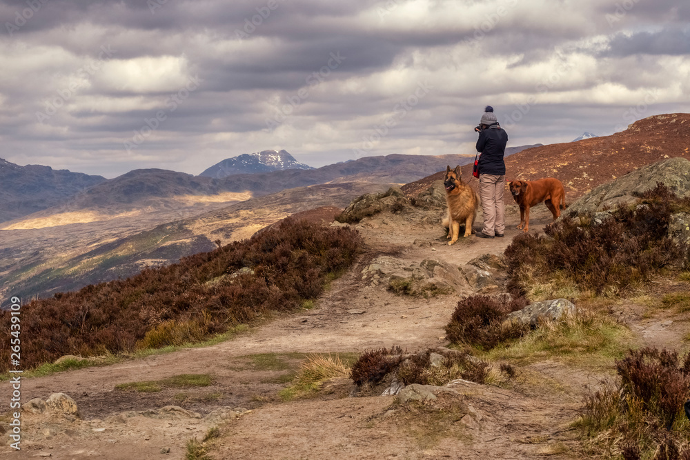 Ben A'an is one of the most popular amongst Scotland's smaller hills. Often known as the mountain in miniature, its position at the heart of the Trossachs makes it a truly wonderful viewpoint. 