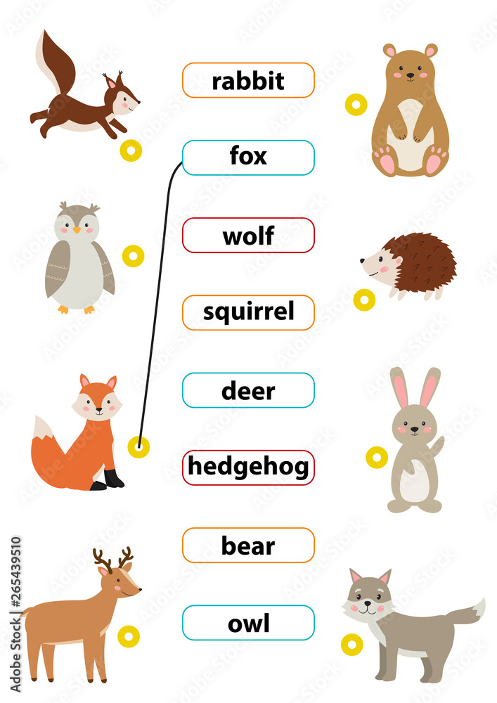 Cute cartoon vector forest animals. Match words with the correct pictures.  Learn english words. For preschool kids activity worksheet. Stock Vector |  Adobe Stock