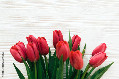 Beautiful red tulips on white wooden background in light. Happy Mothers day. Pink tulips border on white wood  border with space for text. Greeting card template. Hello spring concept