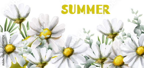 Chamomile summer background Vector watercolor. Vintage flowers white colors. ...