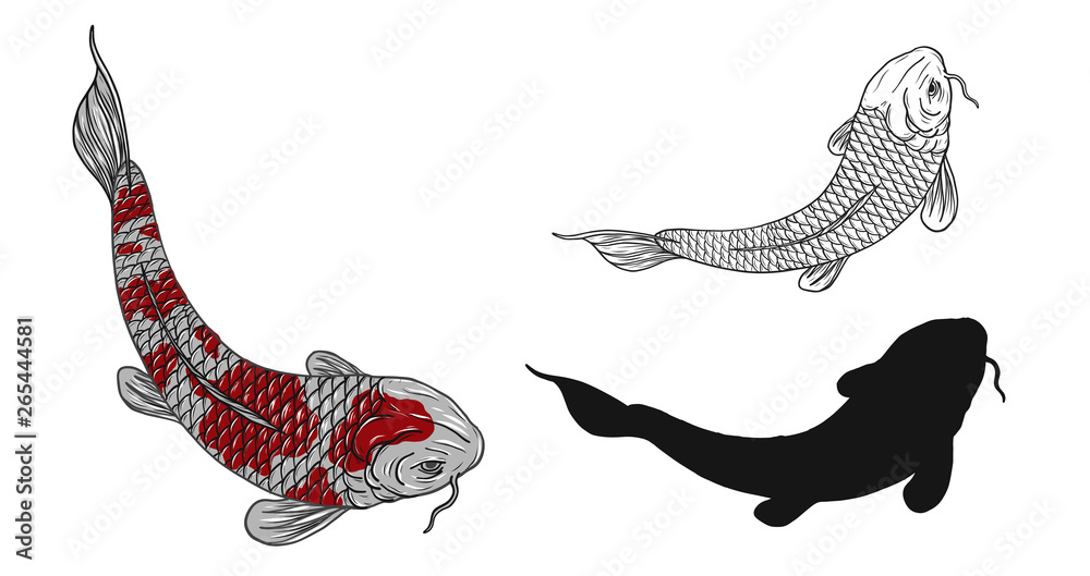 Koi fish vector tattoo by hand  fish on white background. Black and white graphics design art highly detailed in line art   fish for tattoo or wallpaper. Stock Vector | Adobe Stock