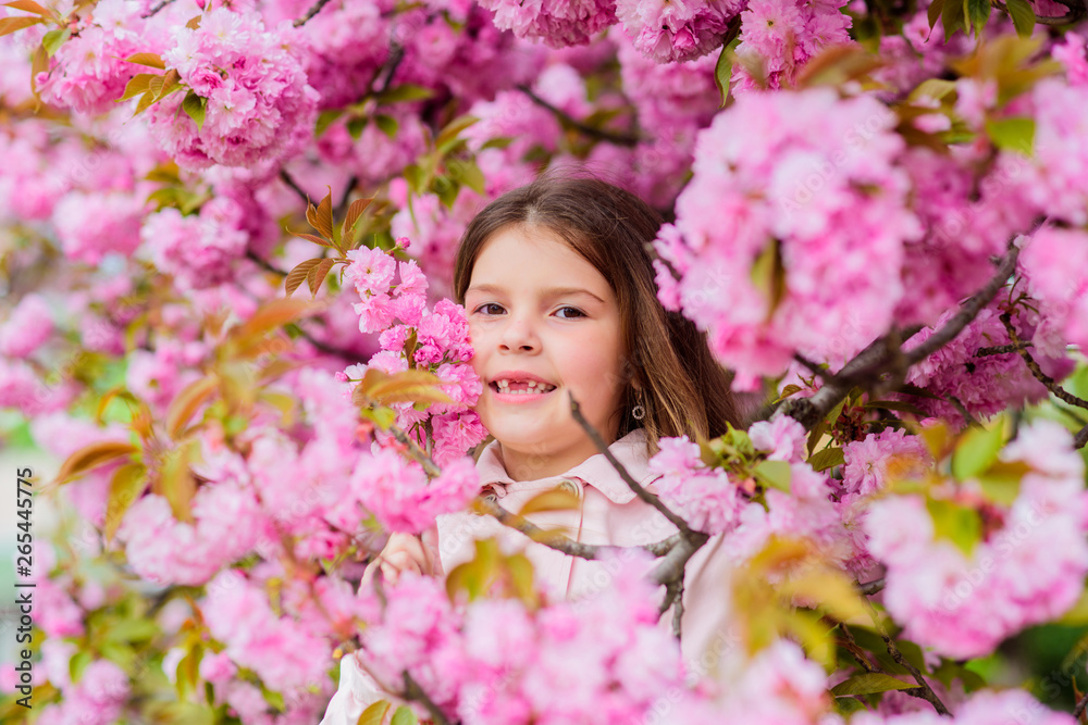 Kid on pink flowers sakura tree background. Child enjoy life without allergy. Sniffing flowers. Allergy remedy. Pollen allergy concept. Get rid of seasonal allergy. Girl enjoying floral aroma Kid on pink flowers sakura tree background. Child enjoy life without allergy. Sniffing flowers. Allergy remedy. Pollen allergy concept. Get rid of seasonal allergy. Girl enjoying floral aroma