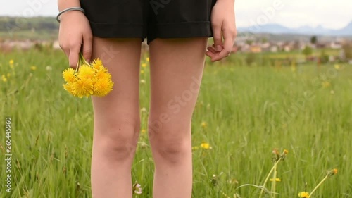A girl stands dandelions in the field