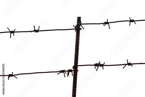 Barbed wire isolated on a white background. Fence or home garden protection..