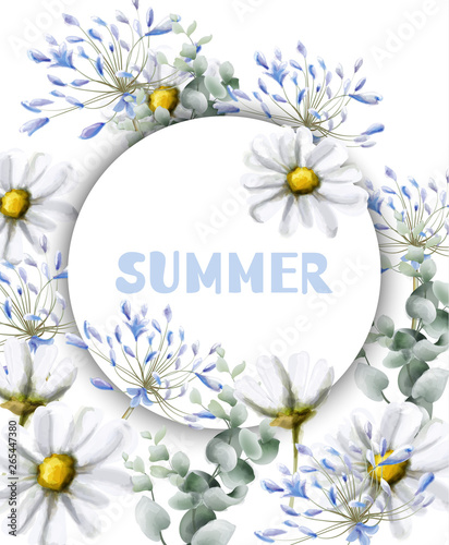 Chamomile summer card Vector watercolor. Vintage flowers white colors. Delicate frame decors