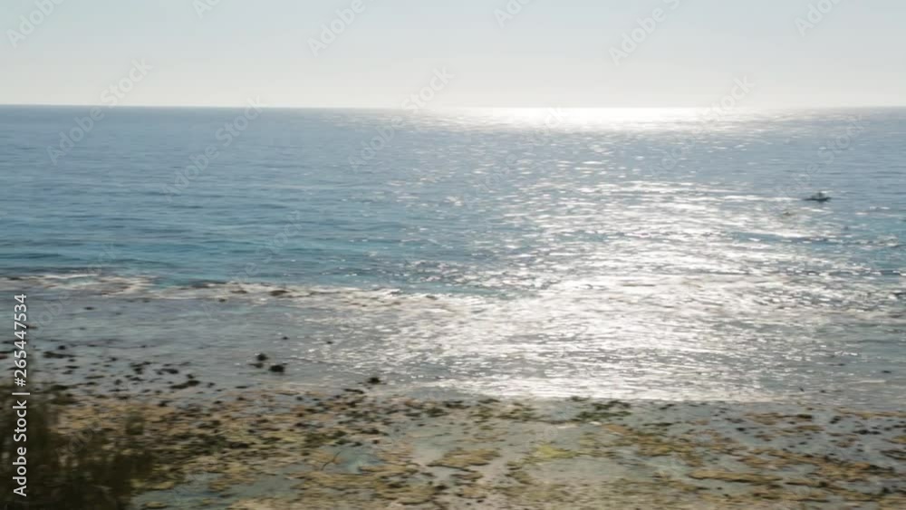A panning high angle shot of the ocean and its shore with the rough landscape and the tall trees adorning the beautiful and sunny landscape A panning high angle shot of the ocean and its shore with the rough landscape and the tall trees adorning the beautiful and sunny landscape
