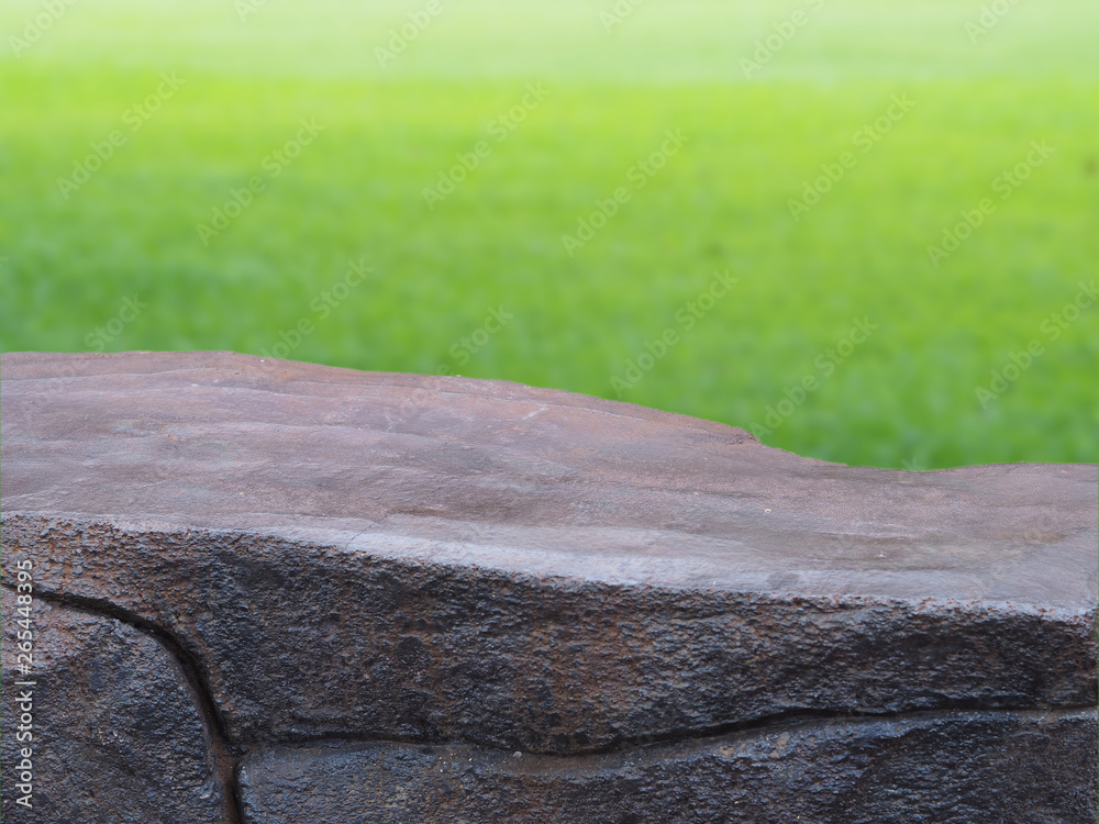 Fototapeta premium Table Rock nature green blurred background