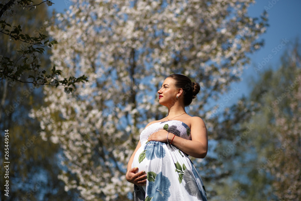 Happy young soon to be mother mom - Young traveler pregnant woman enjoys her leisure free time in a park with blossoming sakura cherry trees wearing a summer light long dress with flower pattern Happy young soon to be mother mom - Young traveler pregnant woman enjoys her leisure free time in a park with blossoming sakura cherry trees wearing a summer light long dress with flower pattern